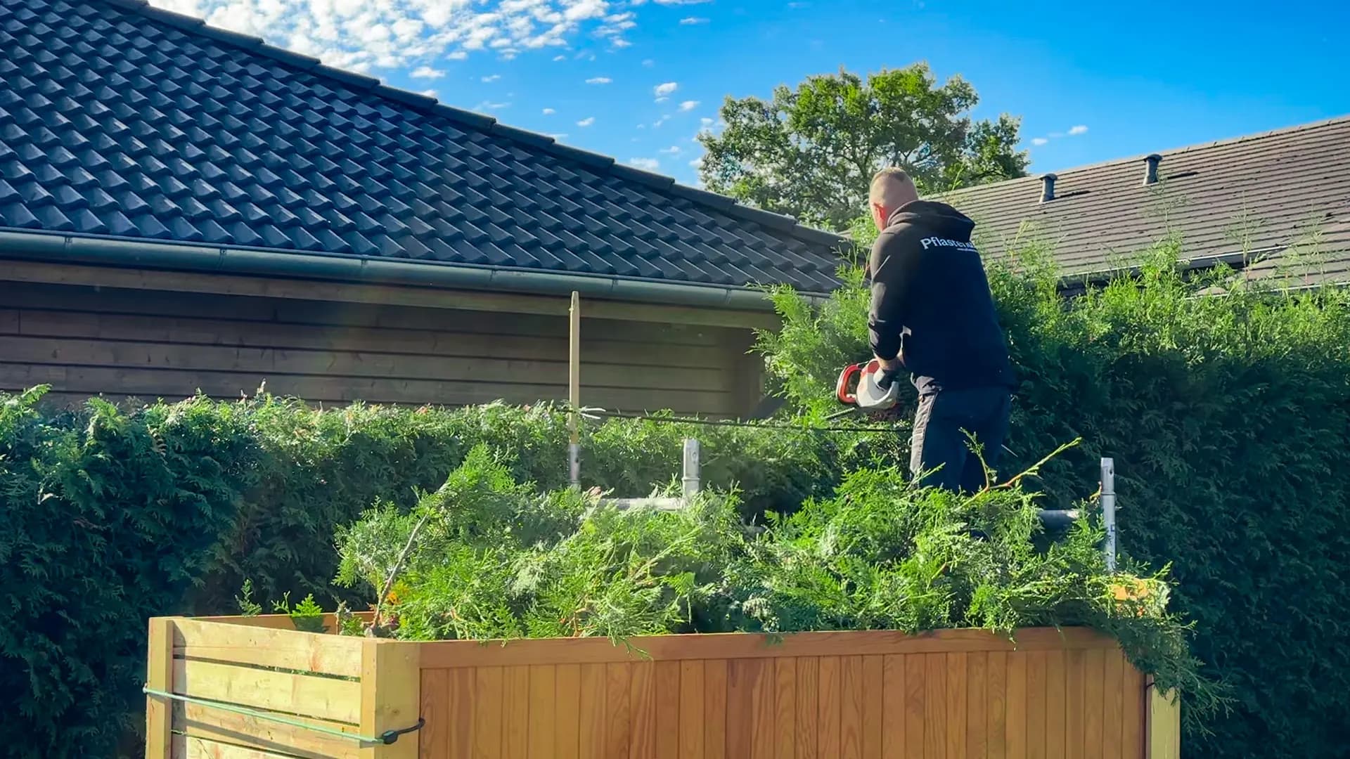 Heckenschnitt in Fleckeby: Die Oberkante einer Thujahecke wird mit der Heckenschere gekürzt, davor liegt Schnittgut auf dem Anhänger