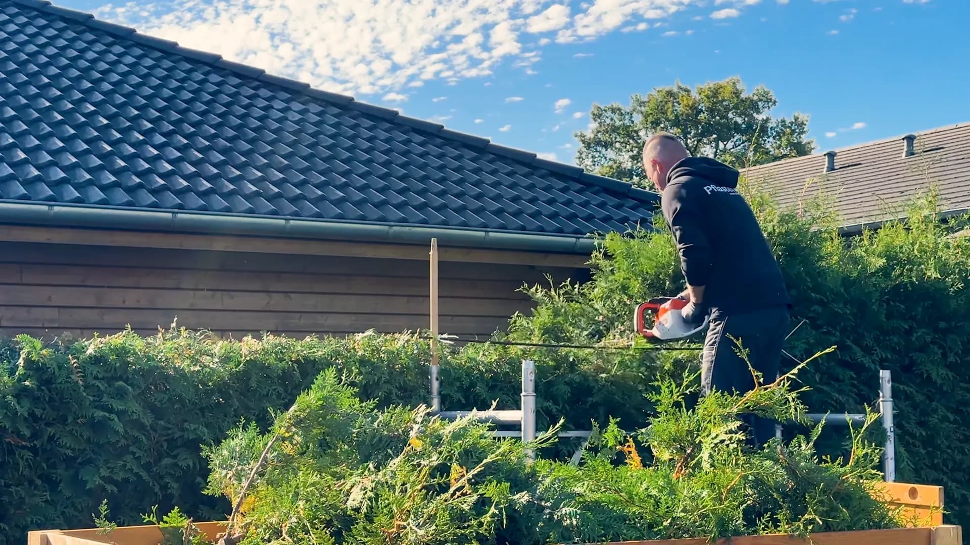 Heckenschnitt in Fleckeby: Eine hohe Thujahecke wird gekürzt, das Schnittgut liegt auf dem Anhänger.
