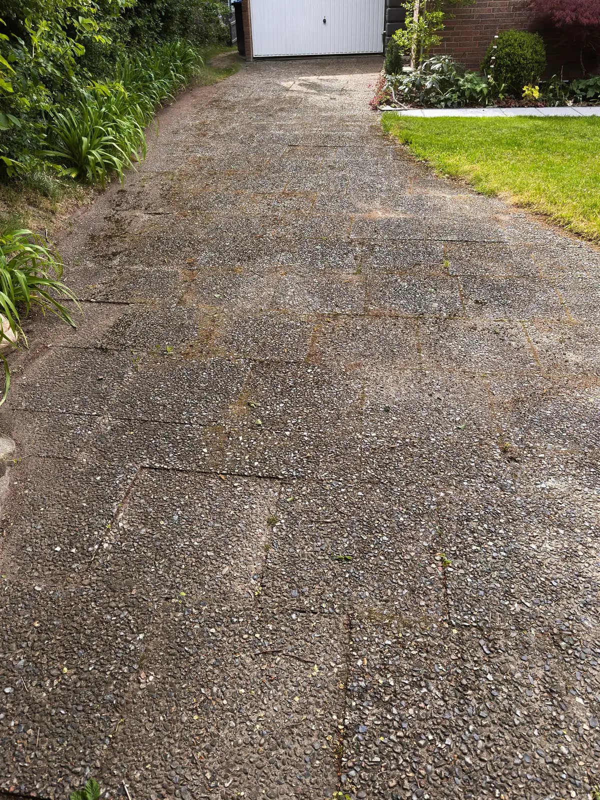 Waschbetonplatten in Nortorf vor der Reinigung, grau mit Bewuchs in den Fugen