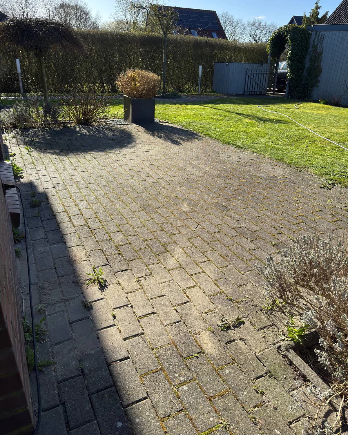 Terrasse in Flensburg vor der Aufbereitung