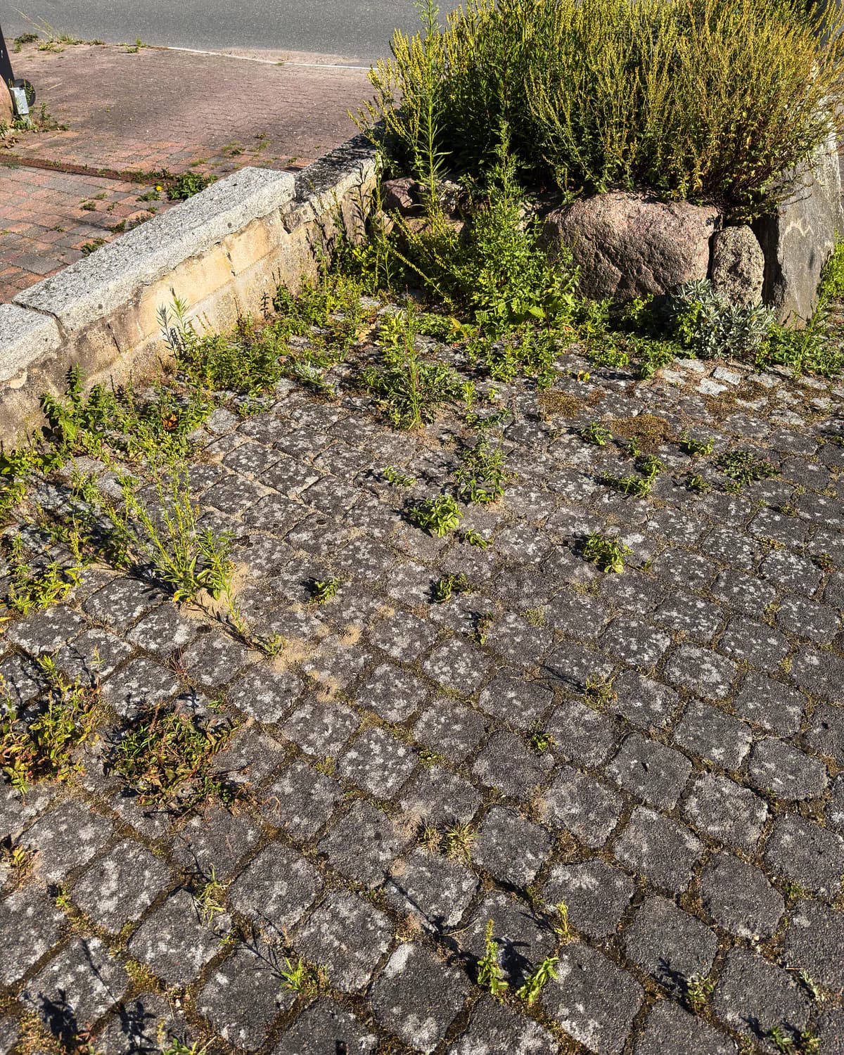 Auffahrt in Meddewade vor der Aufbereitung